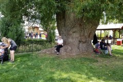 20190720_124844