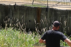 20150715_113953