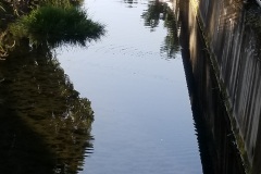20170714_063749