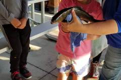 20190719_071008